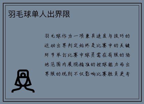 羽毛球单人出界限
